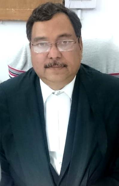 Judge